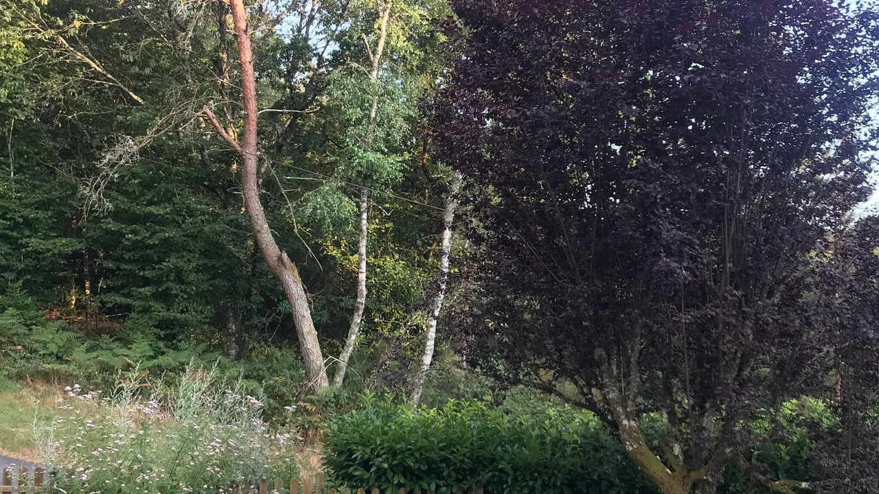 Photo of Outdoor in Auriac
