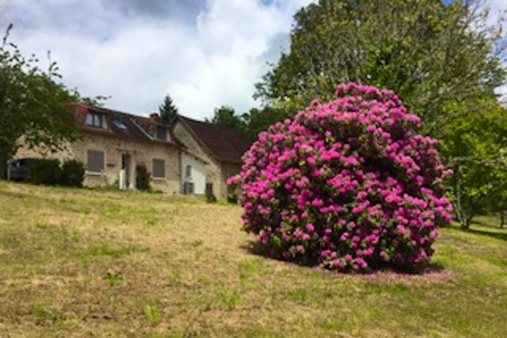 Photo of Others in Ladignac le Long