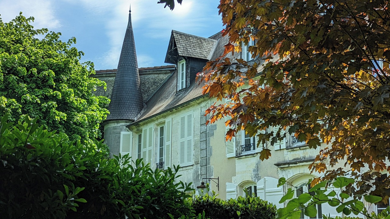 Photo of Outdoor in Cognac