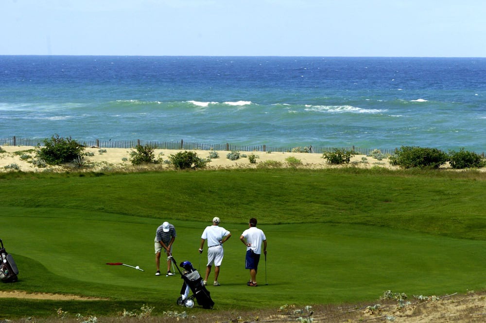 Photo of Others in Riviere-Saas-et-Gourby