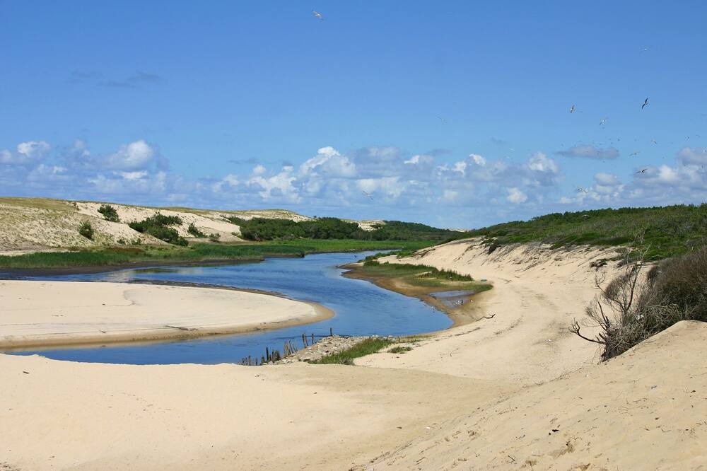 Photo of Others in Riviere-Saas-et-Gourby