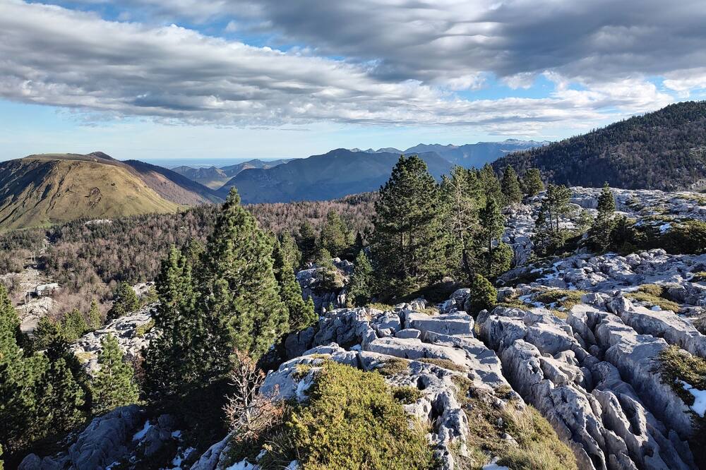 Photo of Outdoor in Arette