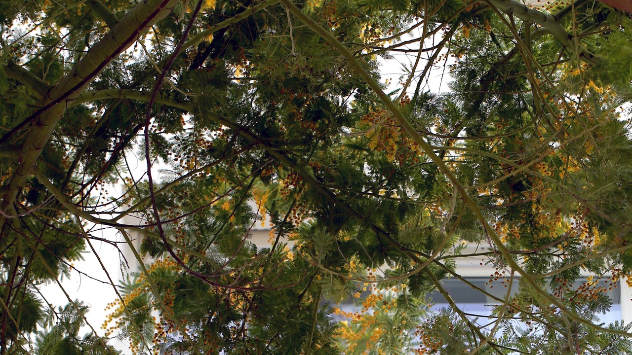 Photo of Outdoor in Royan