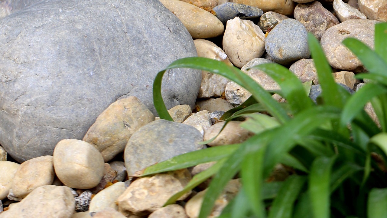 Photo of Outdoor in Royan