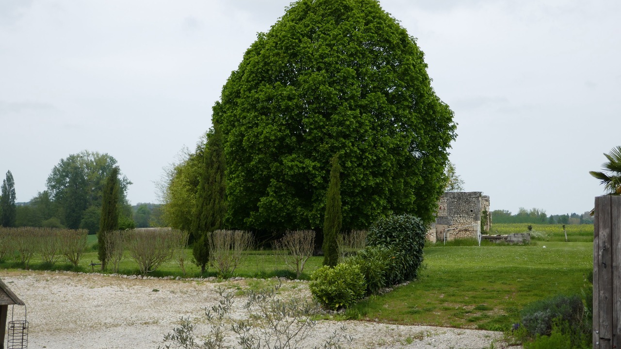 Photo of Outdoor in Baignes-Sainte-Radegonde