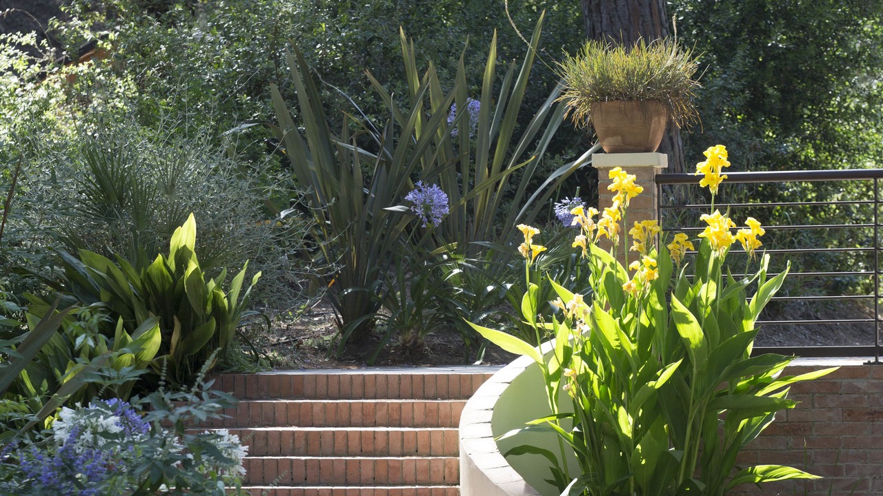 Photo of Outdoor in Donoratico