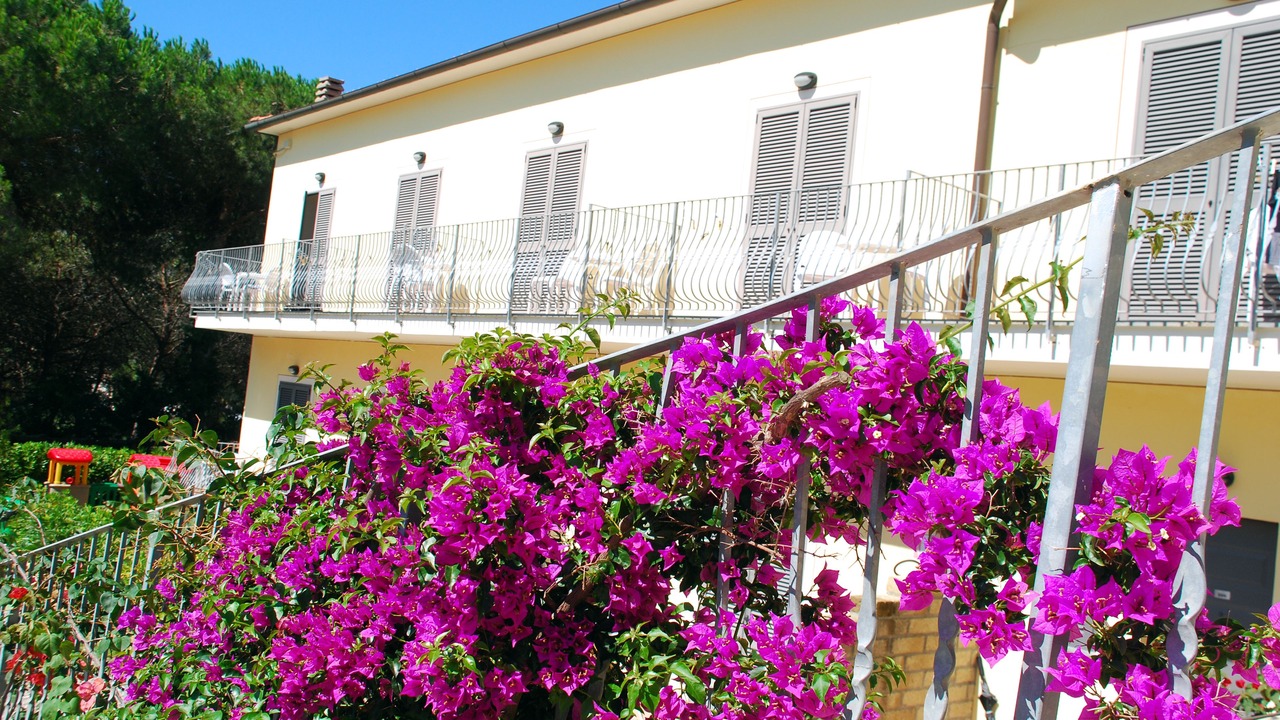 Photo of Outdoor in Porto Azzurro