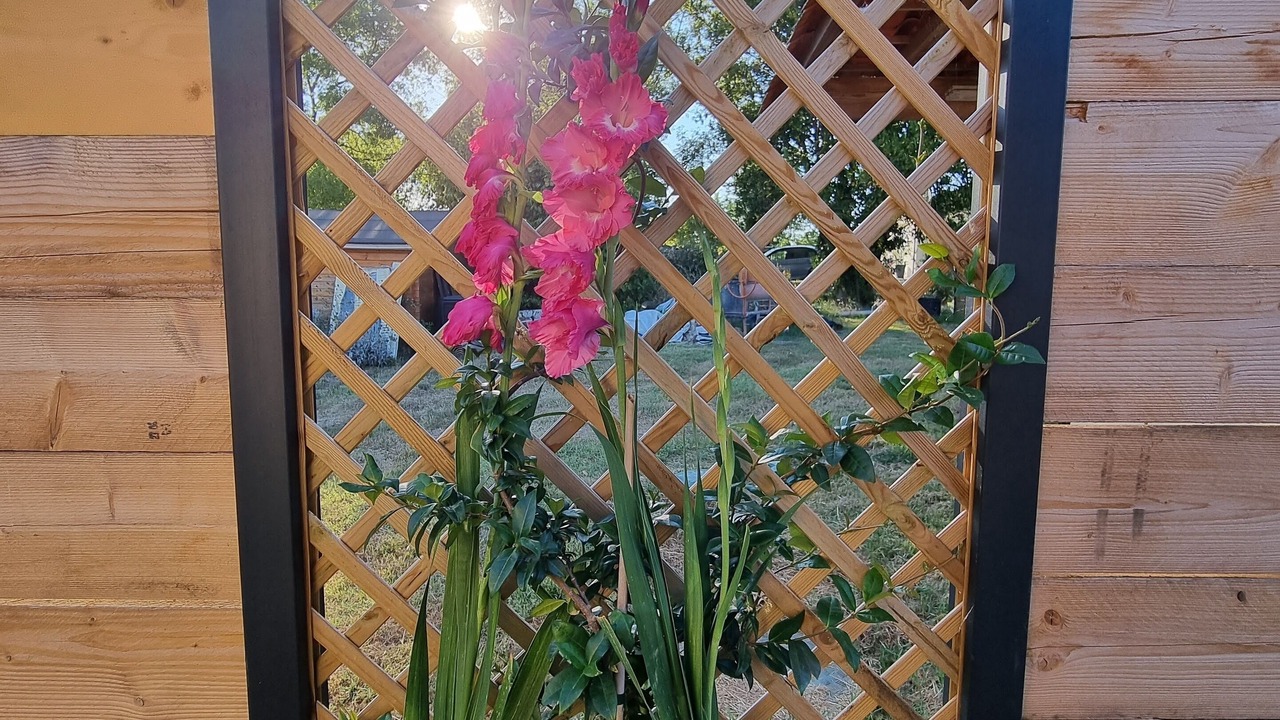 Photo of Outdoor in Saint-Savin