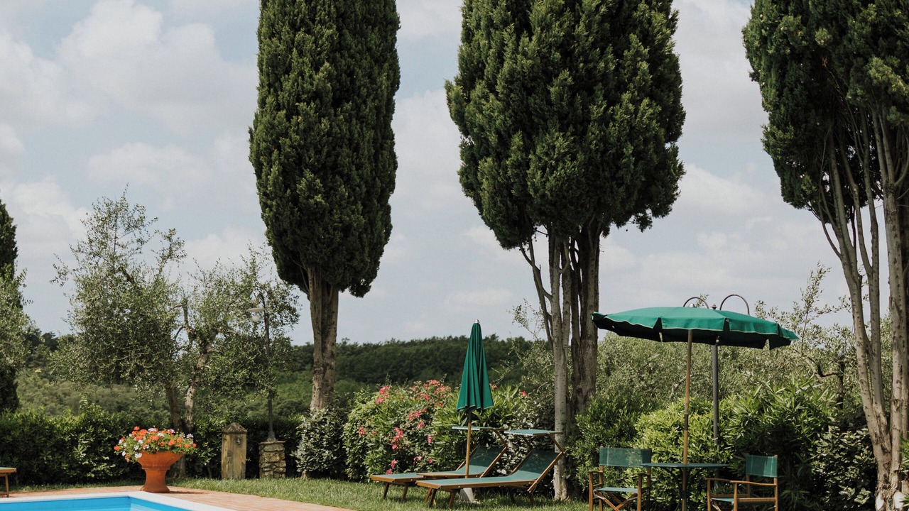 Photo of Outdoor in Lari