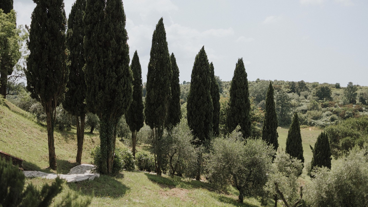 Photo of Outdoor in Lari