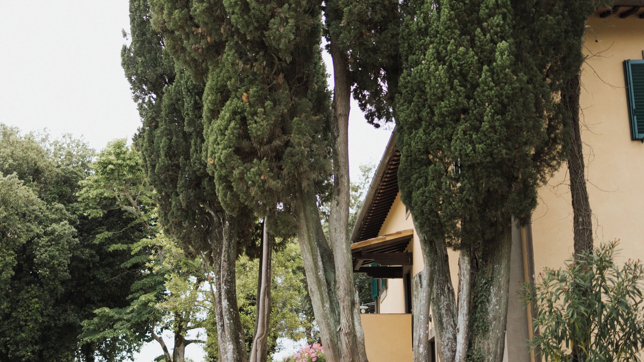 Photo of Outdoor in Lari
