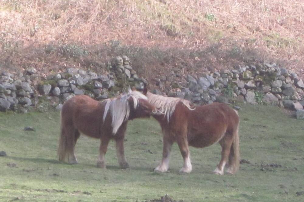 Photo of Outdoor in Ahaxe-Alciette-Bascassan