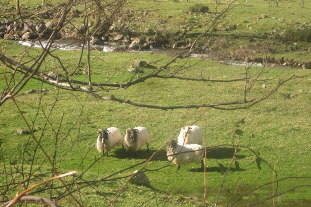 Photo of Outdoor in Ahaxe-Alciette-Bascassan