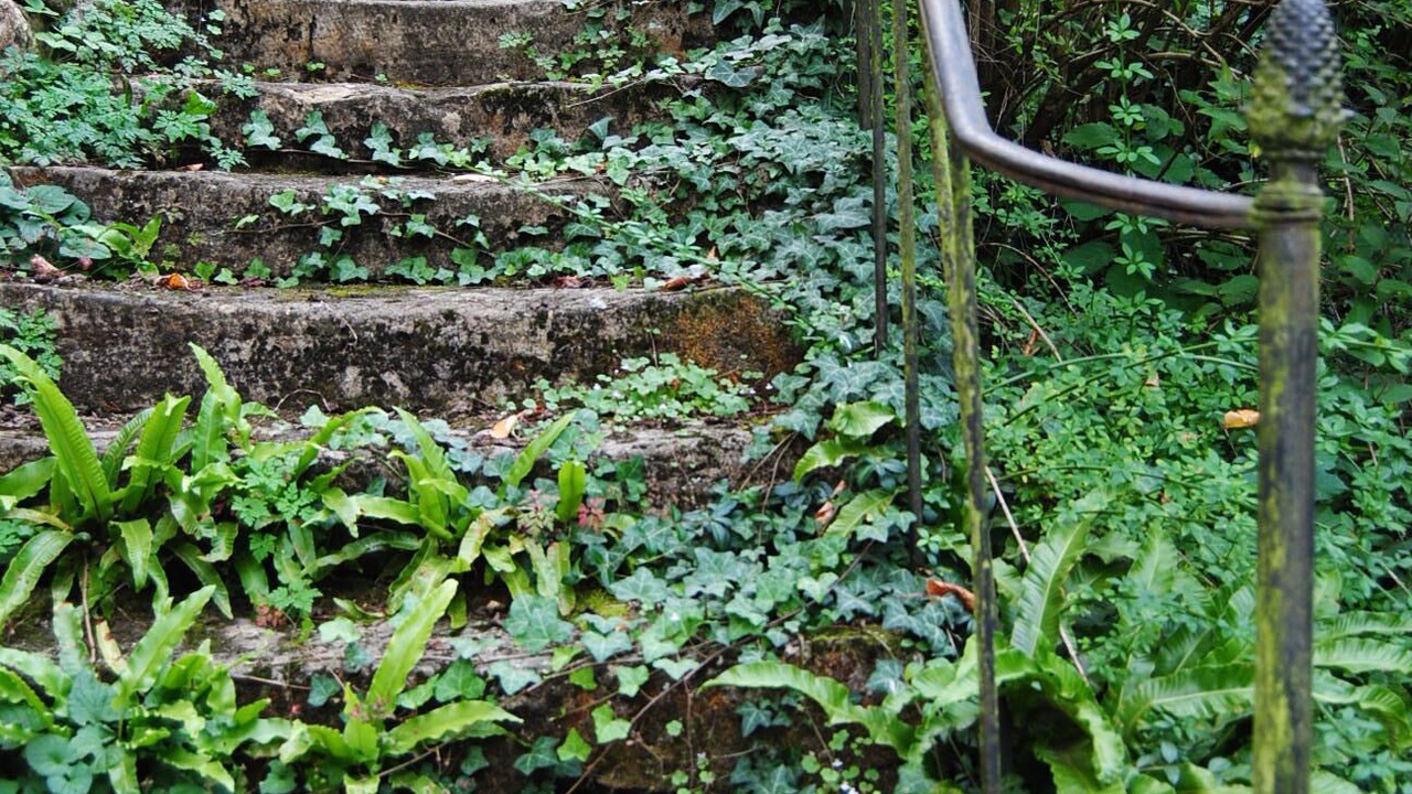 Photo of Outdoor in Hautefort