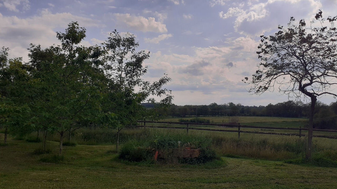 Photo of Others in Availles-Limouzine