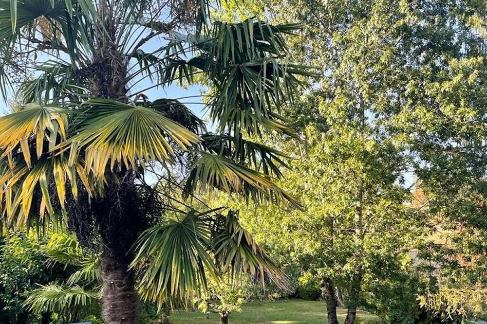 Photo of Outdoor in Saint-Hilaire-de-Lusignan