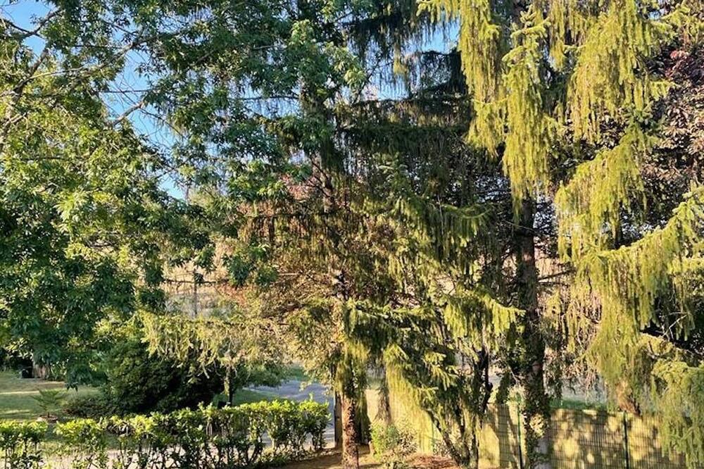 Photo of Outdoor in Saint-Hilaire-de-Lusignan