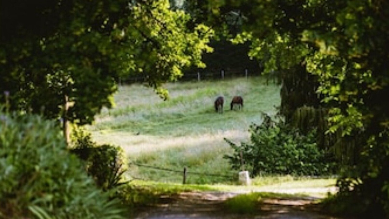Photo of Outdoor in Beaumont-du-Perigord