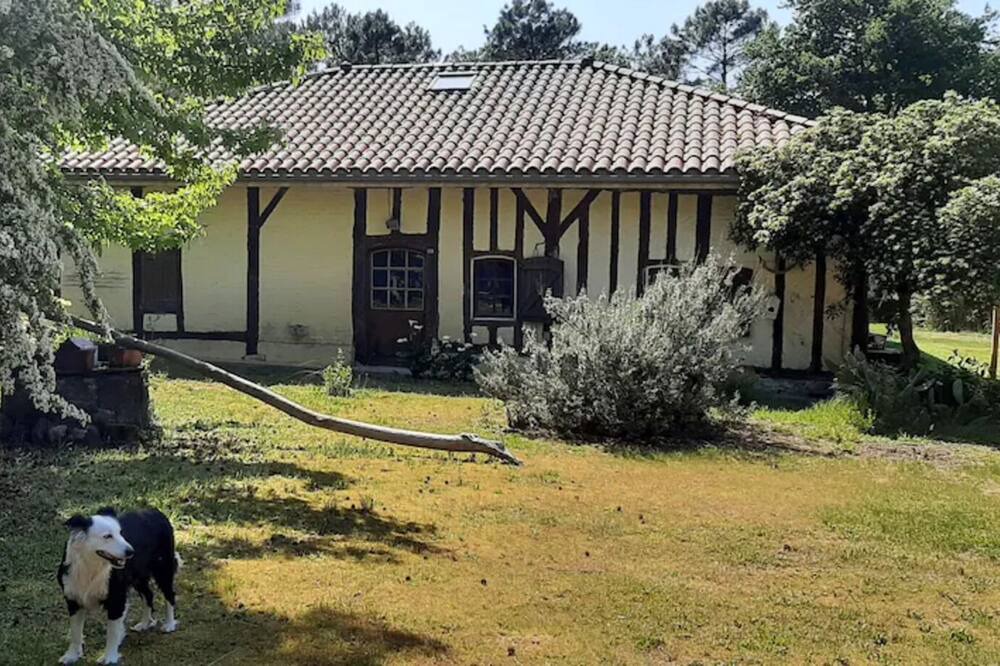 Photo of Outdoor in Saint-Geours-de-Maremne