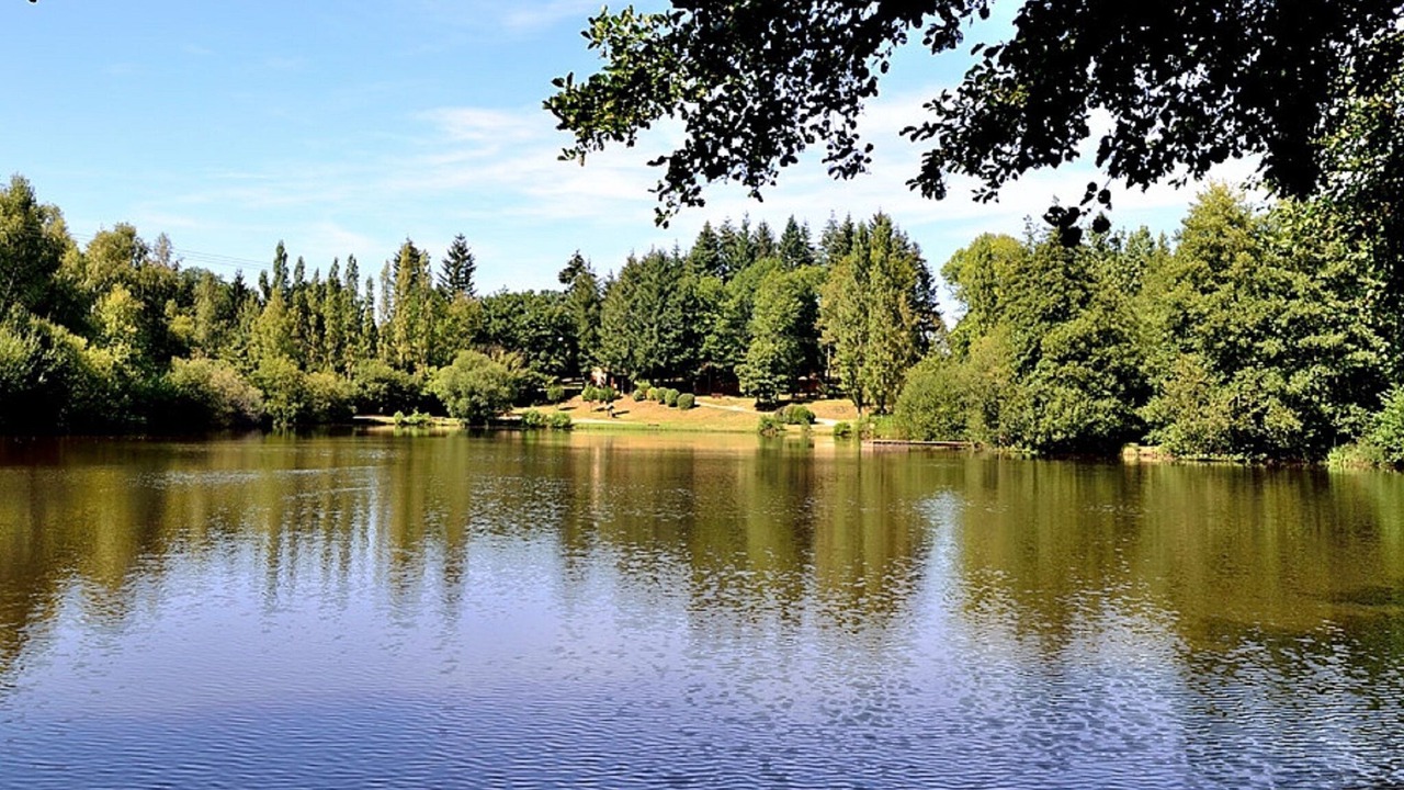 Photo of Outdoor in Cussac