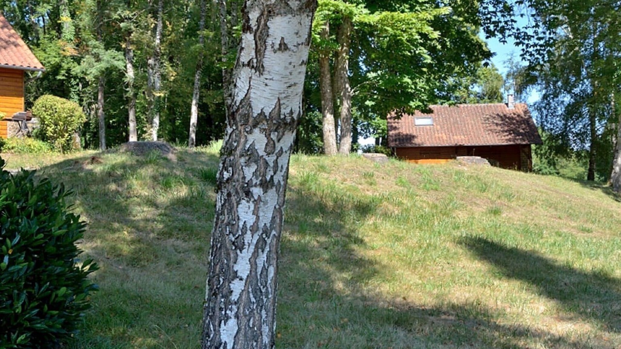 Photo of Outdoor in Cussac