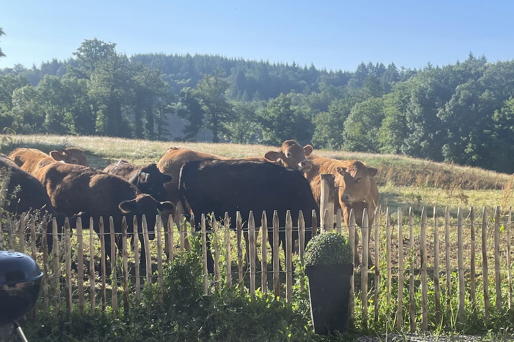 Photo of Others in Vicq-sur-Breuilh