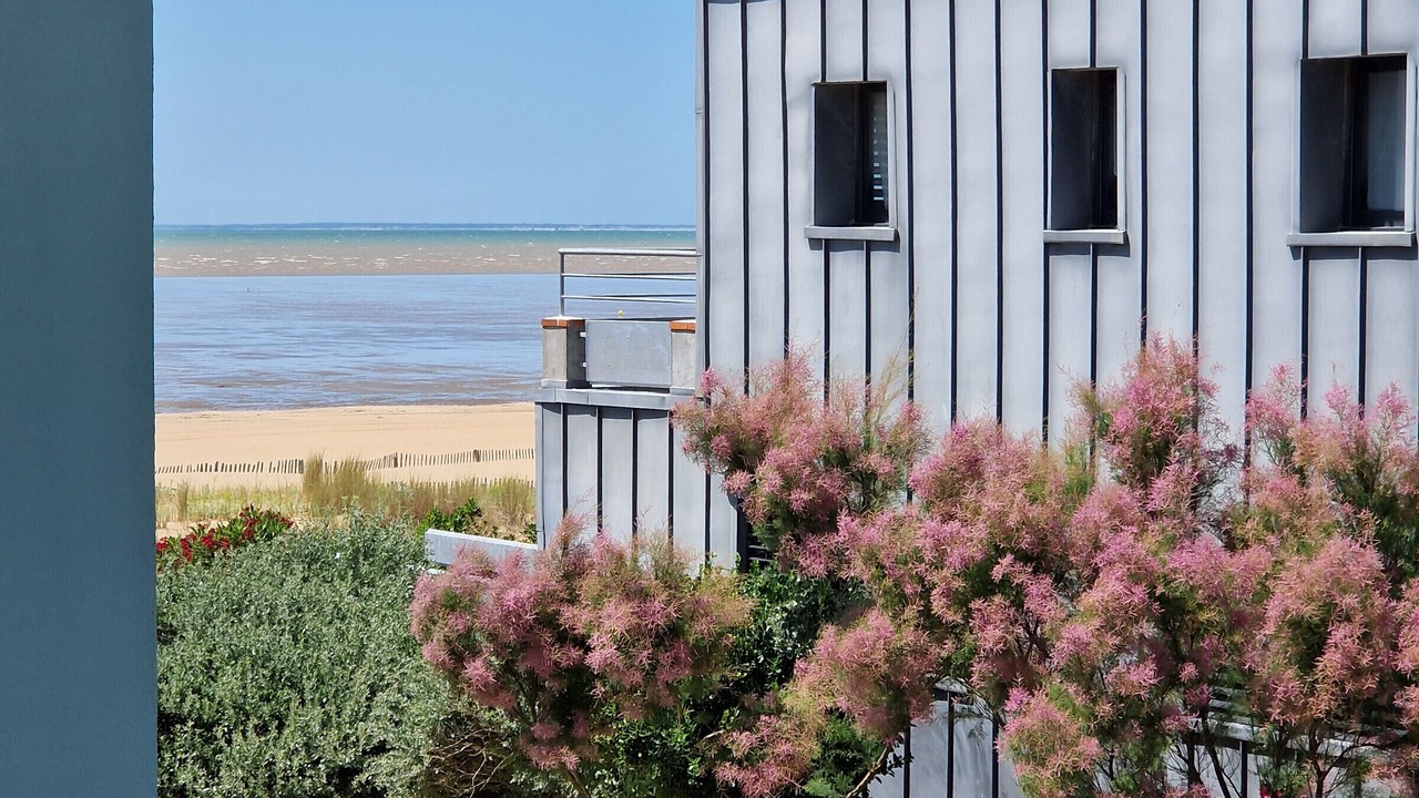 Photo of Outdoor in Port District