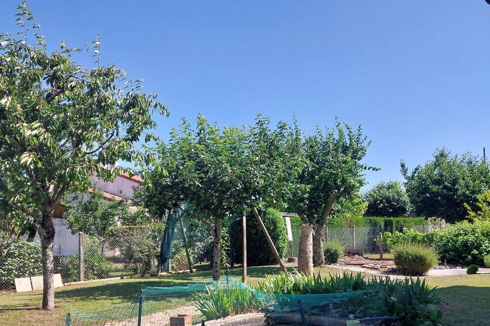 Photo of Outdoor in Montamise