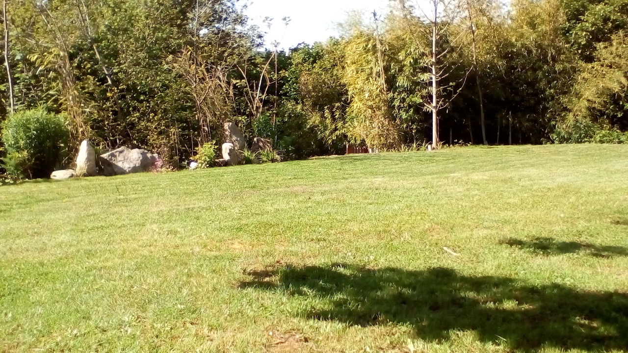 Photo of Others in Treignac