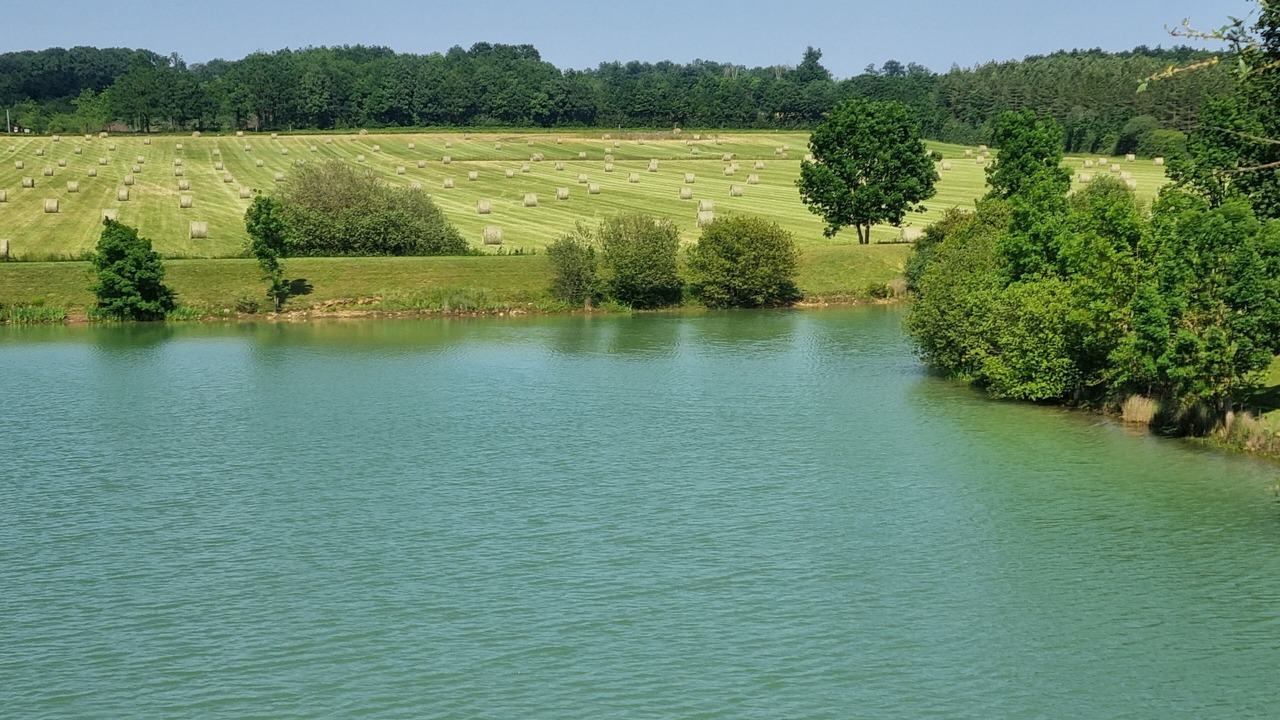 Photo of Others in Clussais-la-Pommeraie