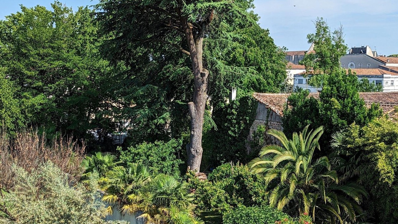 Photo of Outdoor in Gondeville