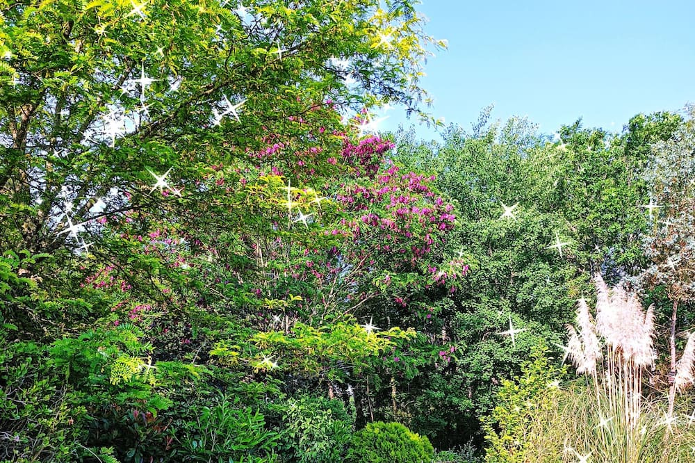 Photo of Outdoor in Pompejac
