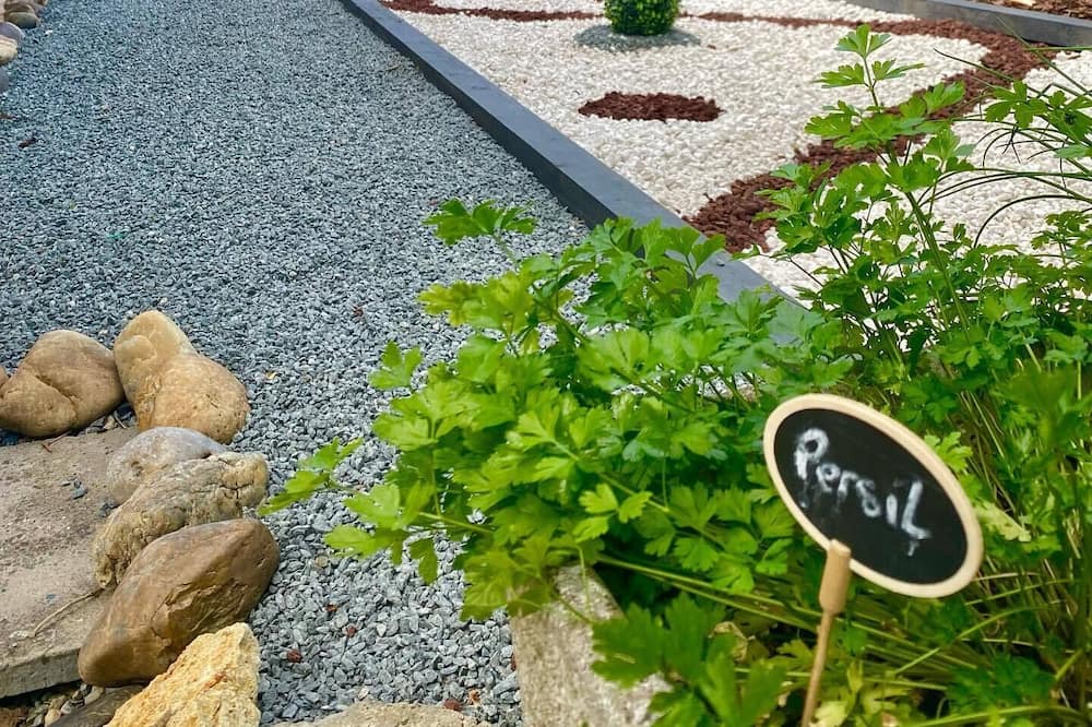 Photo of Outdoor in Colayrac-Saint-Cirq