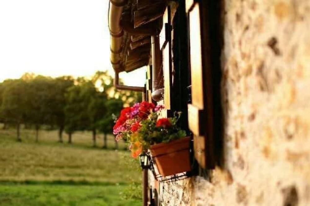 Photo of Others in Bussiere-Poitevine