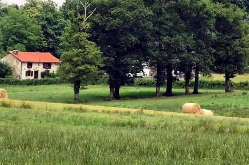 Photo of Others in Bussiere-Poitevine