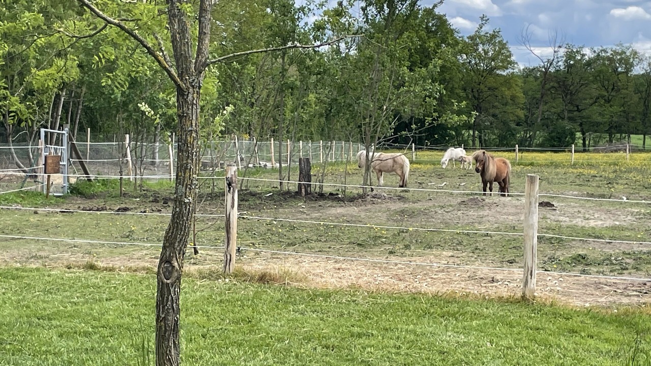 Photo of Outdoor in Oradour-Saint-Genest