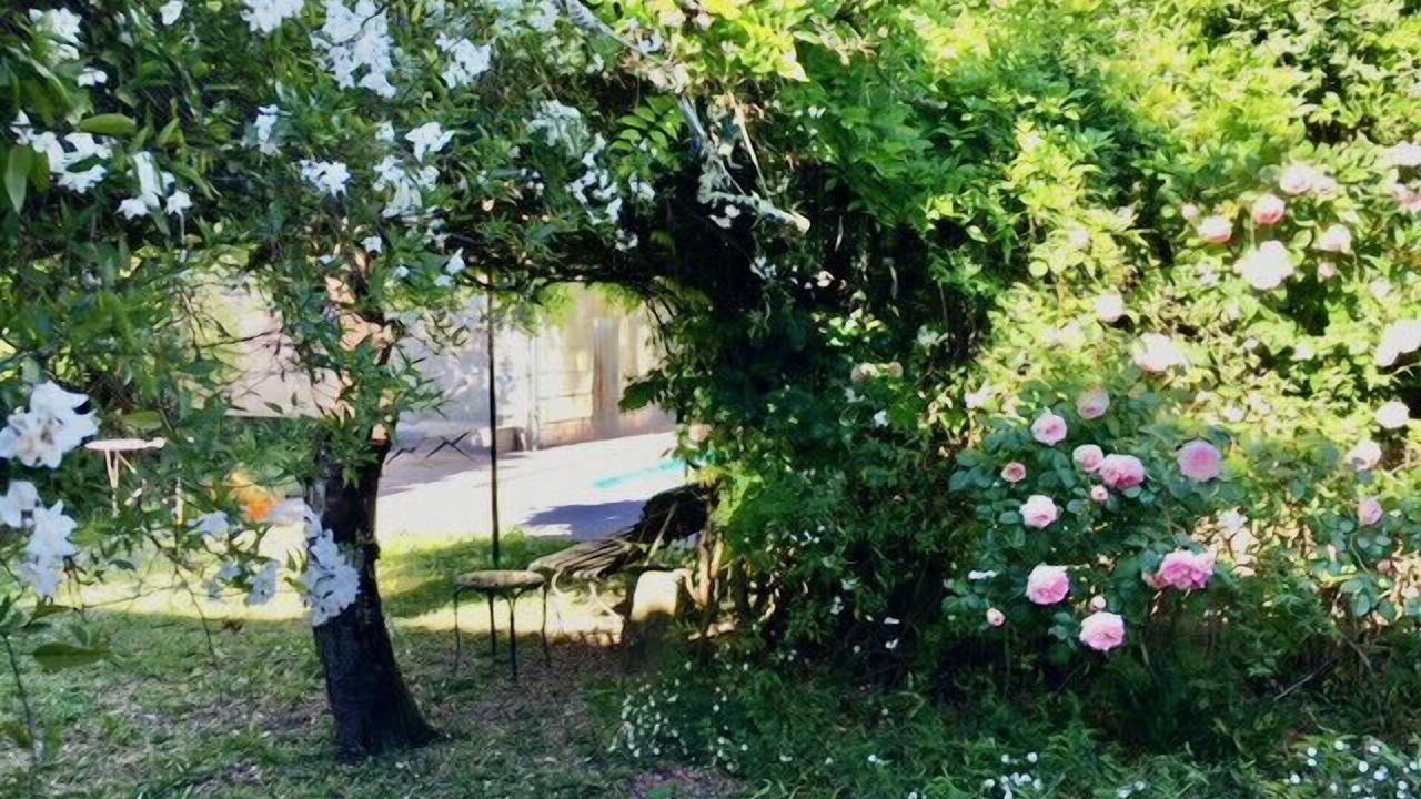 Photo of Outdoor in Le Bouscat