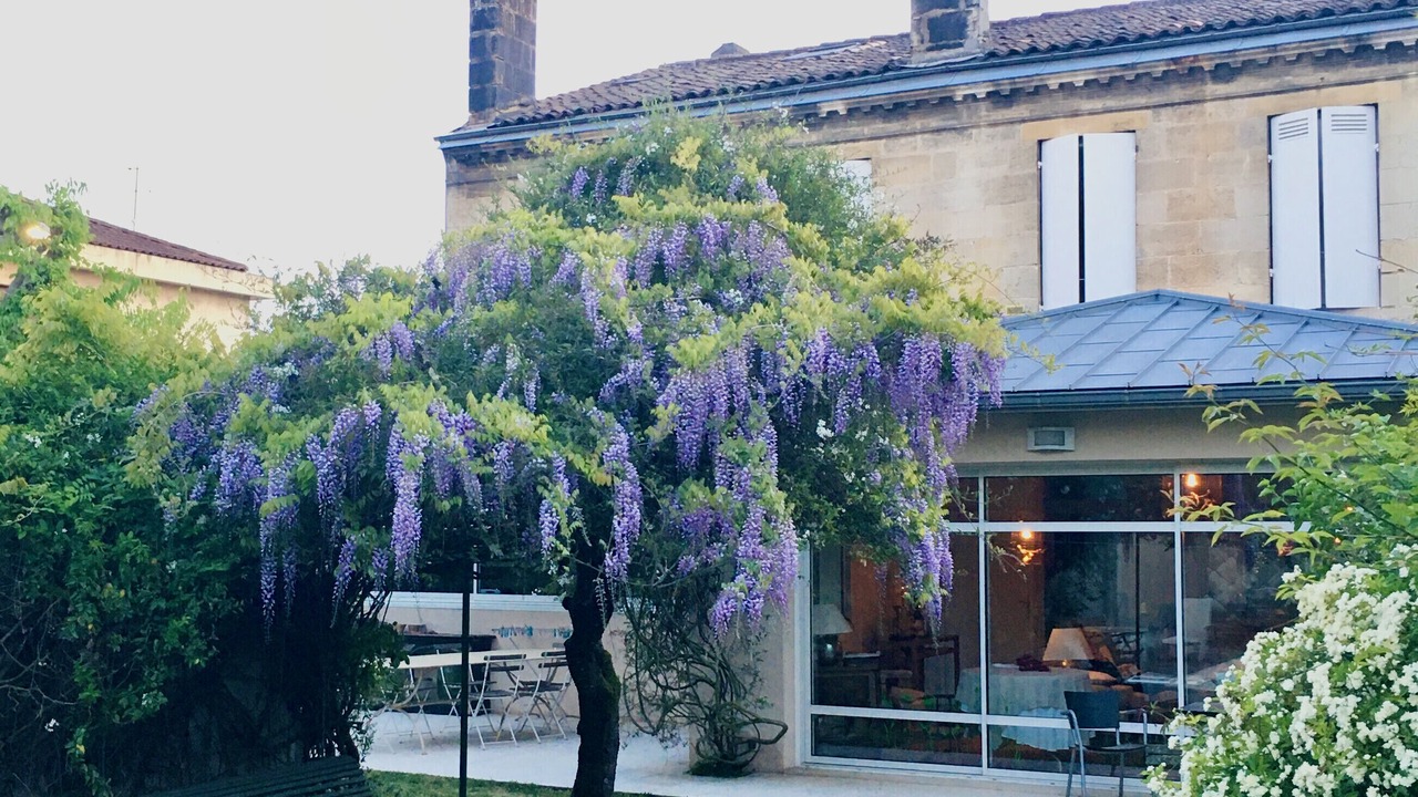 Photo of Outdoor in Le Bouscat