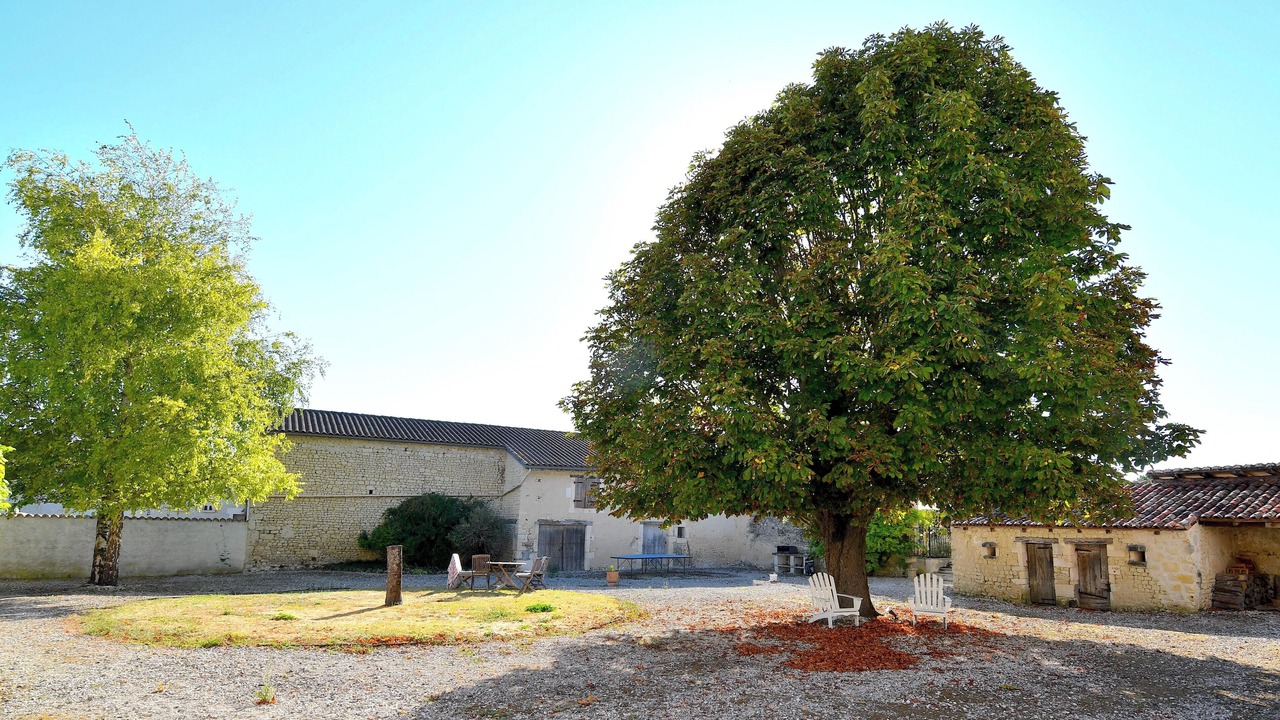 Photo of Outdoor in Saint-Palais-du-Ne