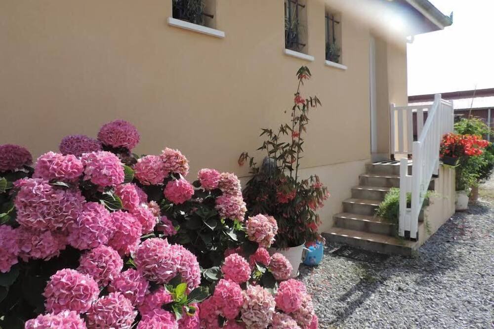 Photo of Outdoor in Toulouzette