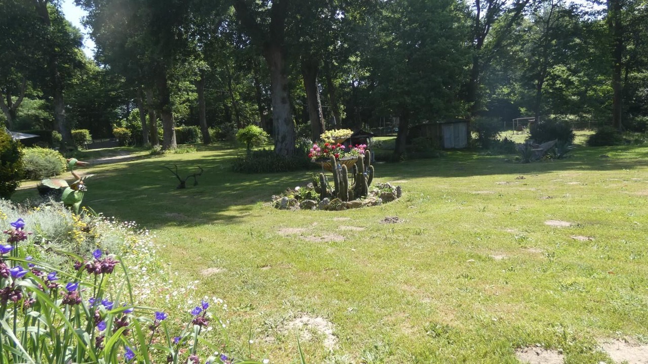 Photo of Outdoor in Lacquy