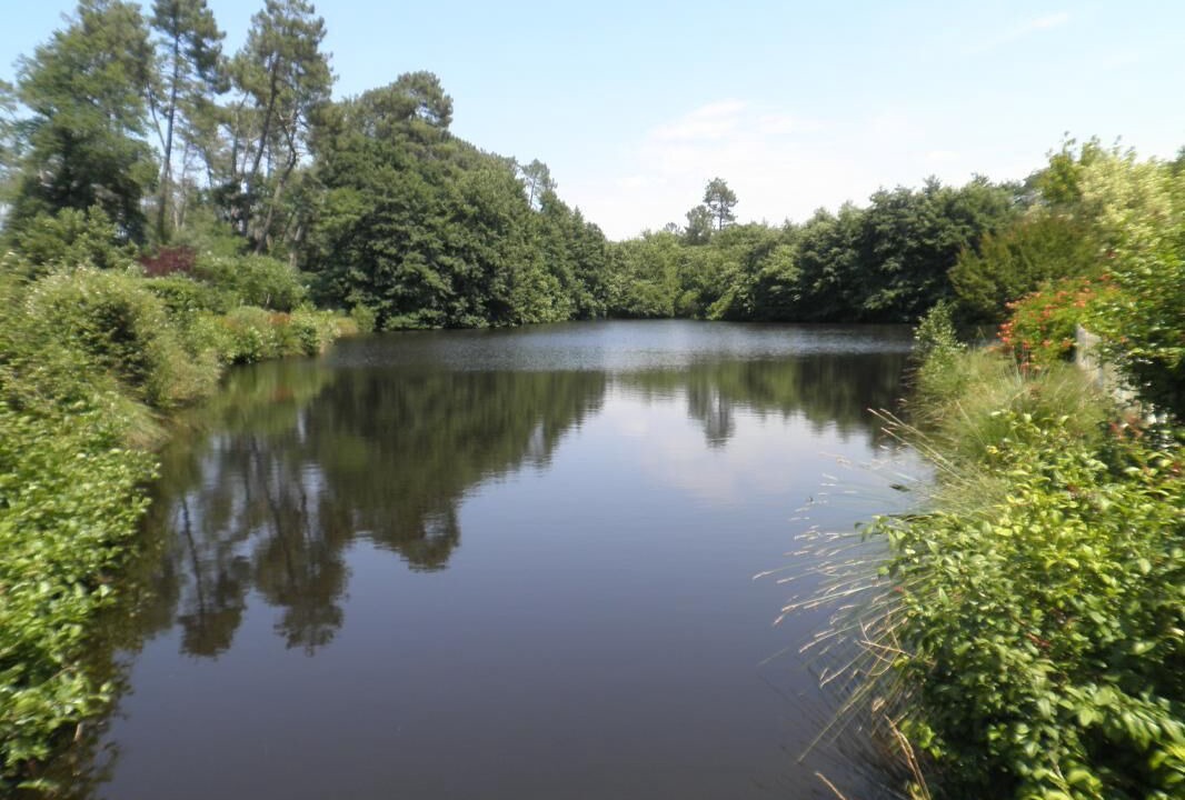 Photo of Outdoor in Pouydesseaux