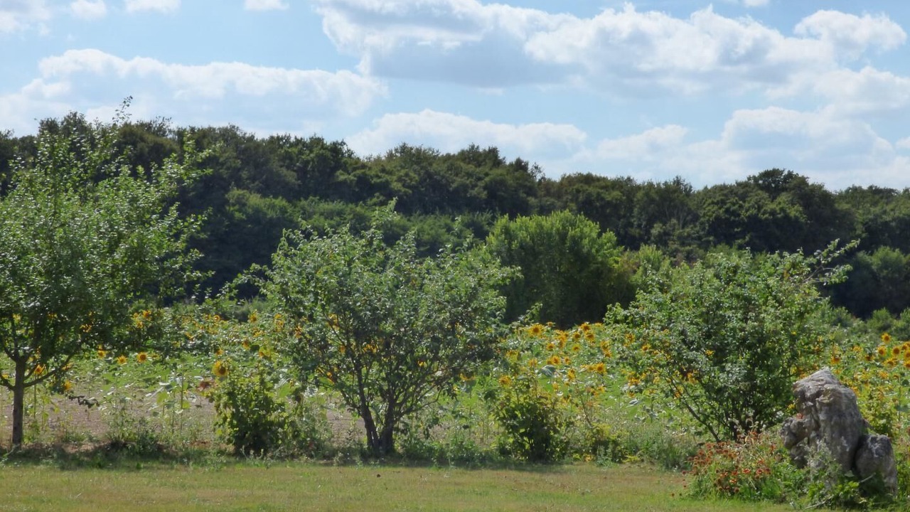 Photo of Others in Leigne-les-Bois