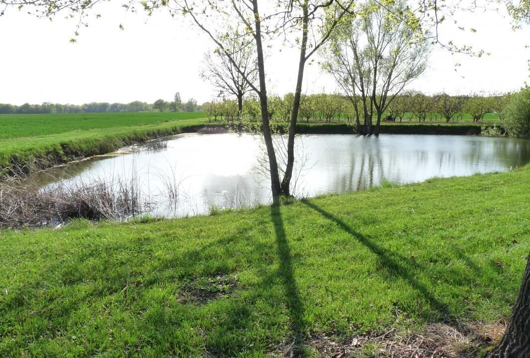 Photo of Outdoor in Leigne-les-Bois