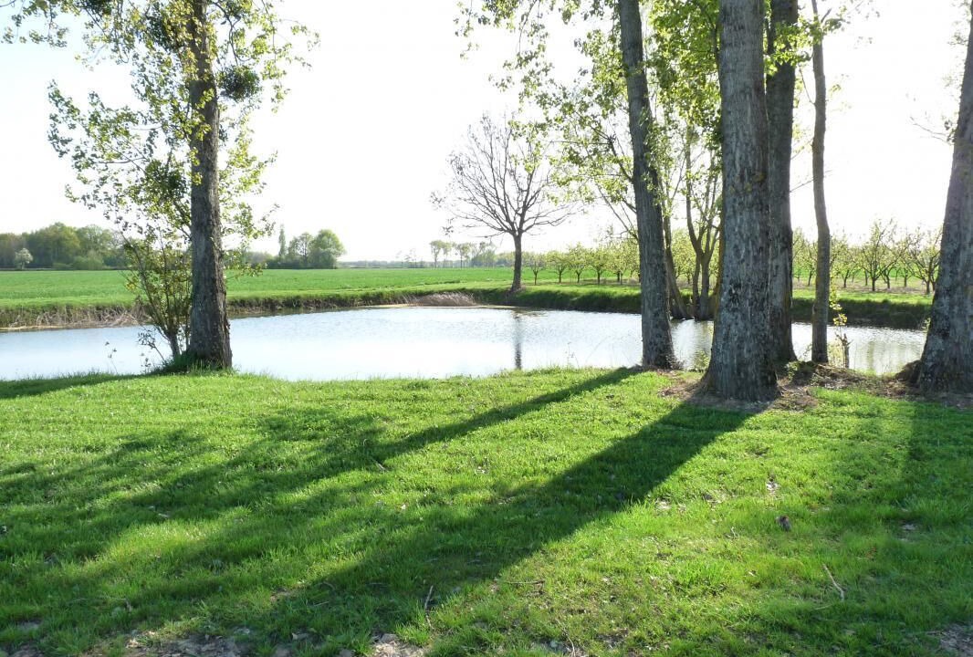 Photo of Outdoor in Leigne-les-Bois