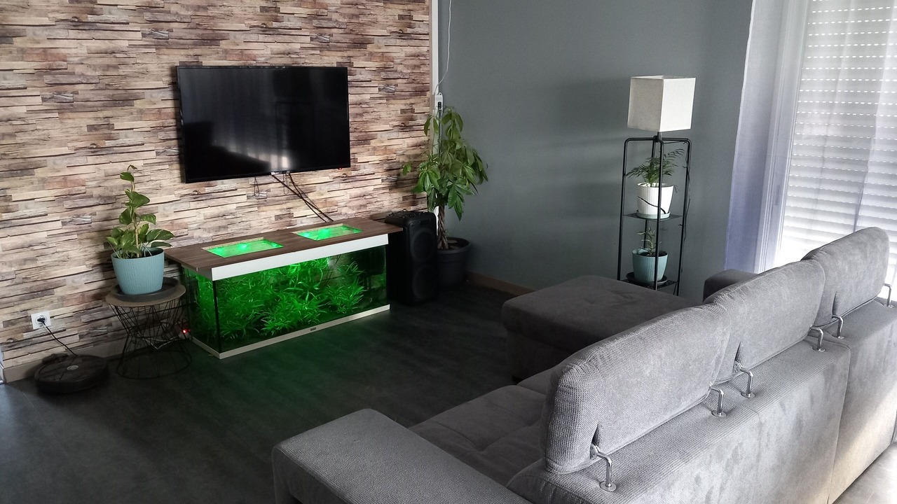 Photo of Livingroom in Belin-Beliet