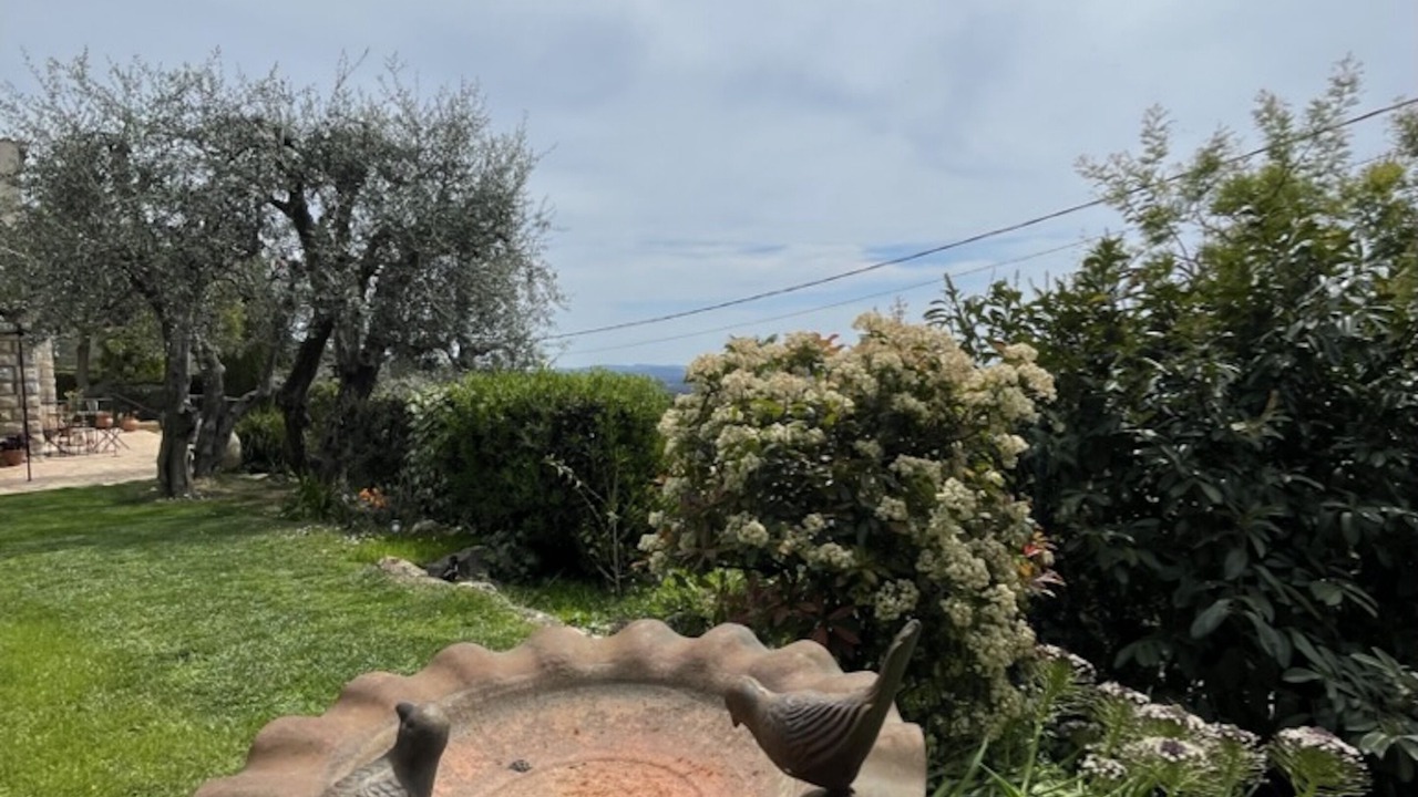Photo of Outdoor in Speracedes