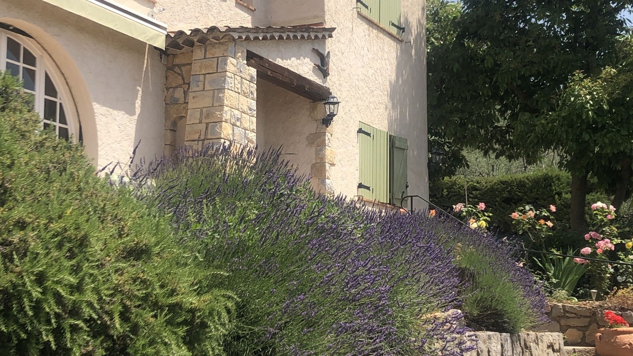 Photo of Outdoor in Speracedes