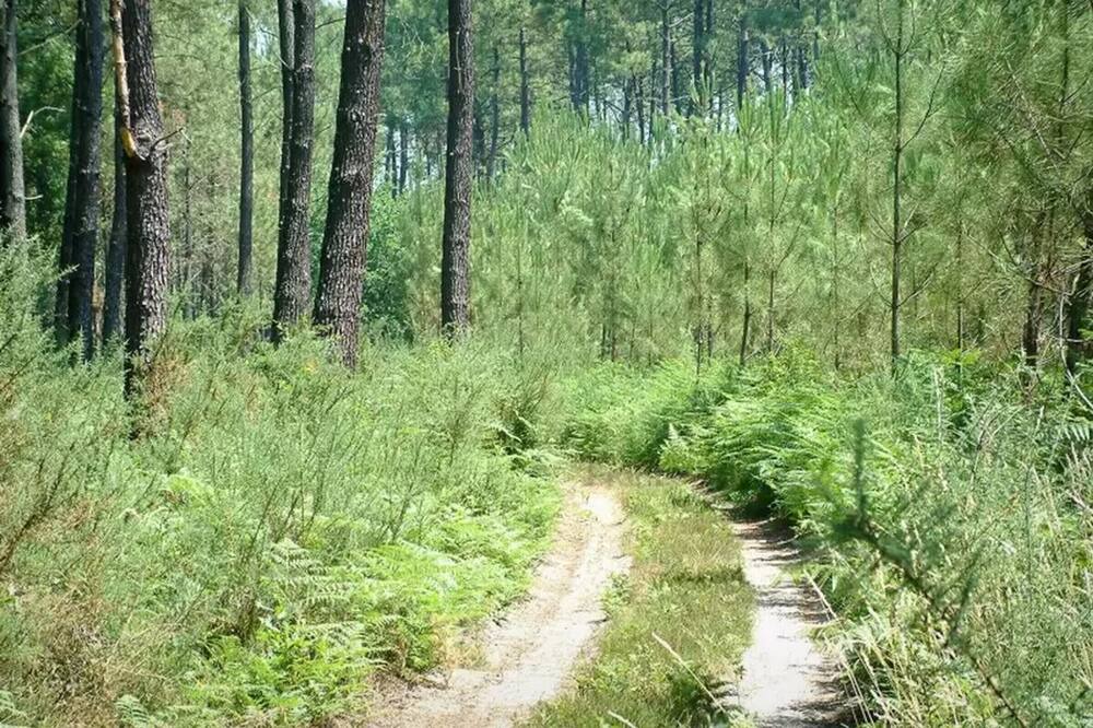 Photo of Outdoor in Belhade