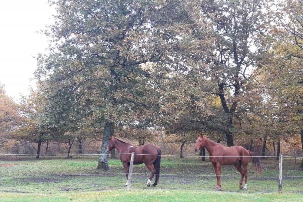 Photo of Outdoor in Belhade
